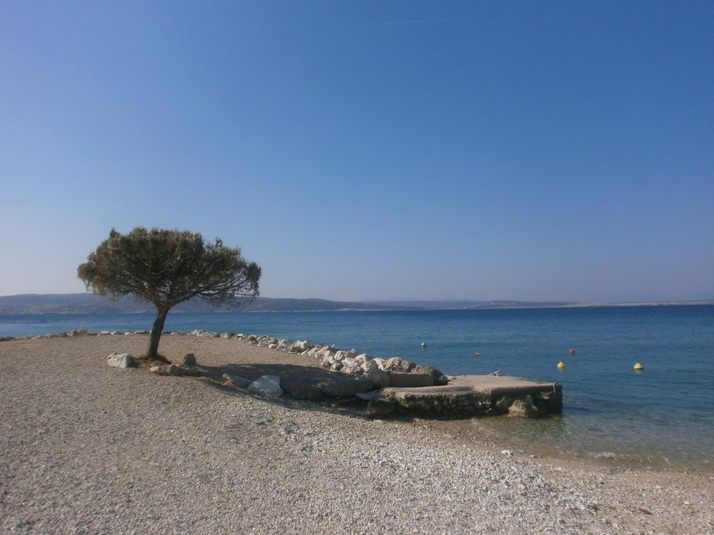 Svorcan * Crikvenica